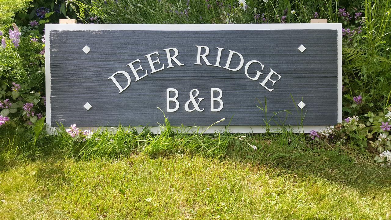 Deer Ridge B&B Golden Ngoại thất bức ảnh